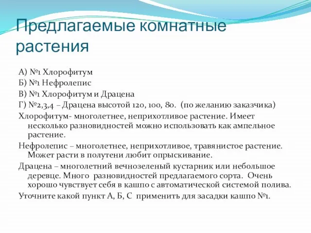 Предлагаемые комнатные растения А) №1 Хлорофитум Б) №1 Нефролепис В) №1 Хлорофитум