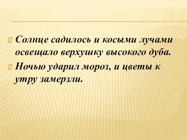 Солнце садилось и косыми лучами освещало верхушку высокого дуба. Ночью ударил мороз,