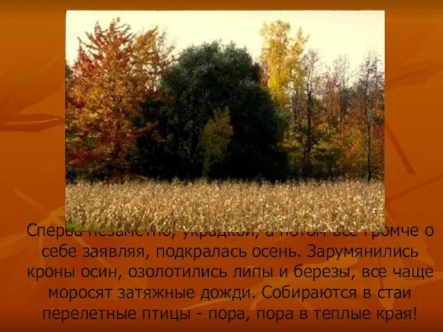 Сперва незаметно, украдкой, а потом все громче о себе заявляя, подкралась осень.