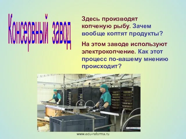 Мой университет- www.edu-reforma.ru Консервный завод Здесь производят копченую рыбу. Зачем вообще коптят