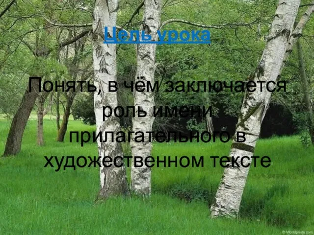 Цель урока Понять, в чём заключается роль имени прилагательного в художественном тексте