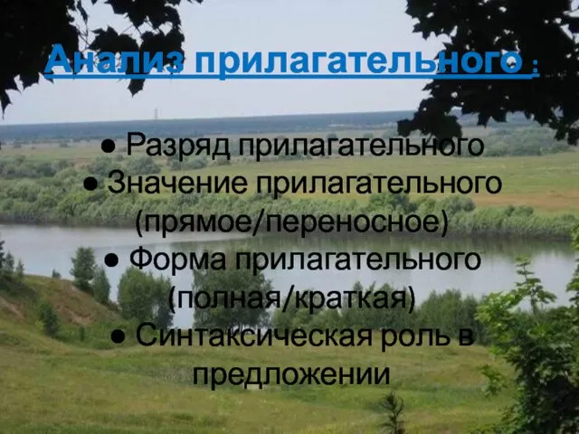 ● Разряд прилагательного ● Значение прилагательного (прямое/переносное) ● Форма прилагательного (полная/краткая) ●