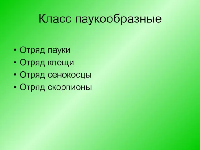 Класс паукообразные Отряд пауки Отряд клещи Отряд сенокосцы Отряд скорпионы