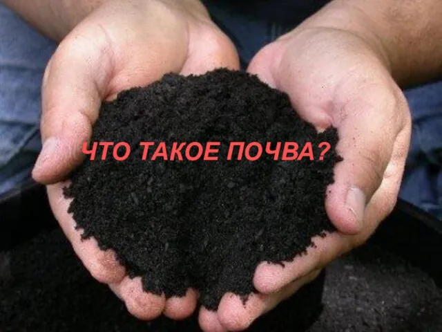 ЧТО ТАКОЕ ПОЧВА?