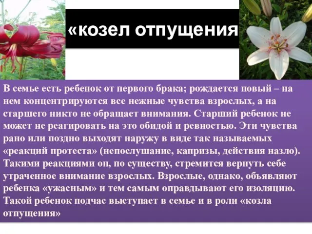 «козел отпущения» В семье есть ребенок от первого брака; рождается новый –