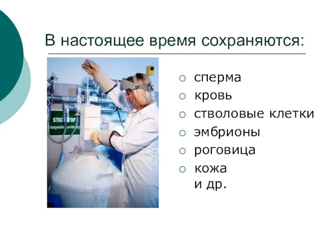 В настоящее время сохраняются: сперма кровь стволовые клетки эмбрионы роговица кожа и др.