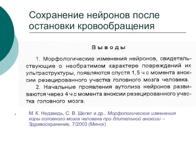 Сохранение нейронов после остановки кровообращения М. К. Недзведь, С. В. Шелег и