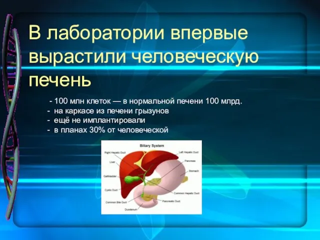 В лаборатории впервые вырастили человеческую печень - 100 млн клеток — в