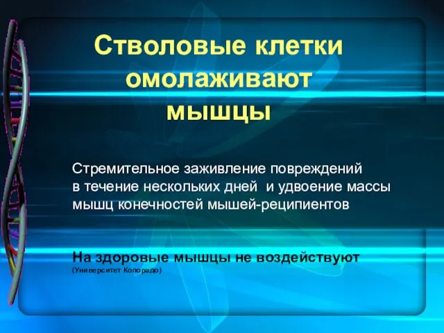 Стремительное заживление повреждений в течение нескольких дней и удвоение массы мышц конечностей