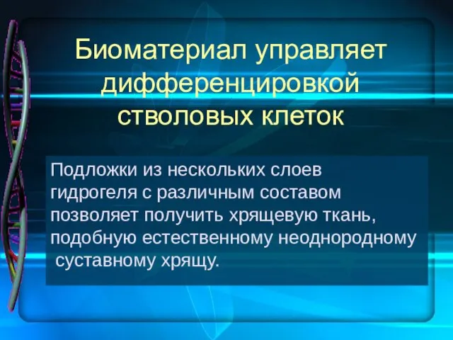 Биоматериал управляет дифференцировкой стволовых клеток Подложки из нескольких слоев гидрогеля с различным