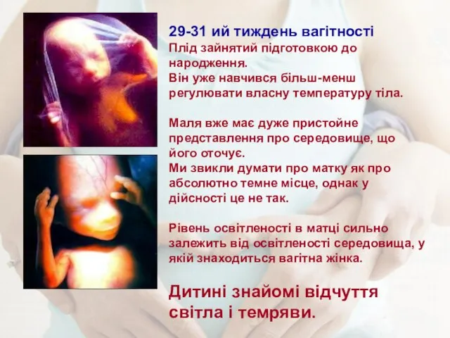 29-31 ий тиждень вагітності Плід зайнятий підготовкою до народження. Він уже навчився