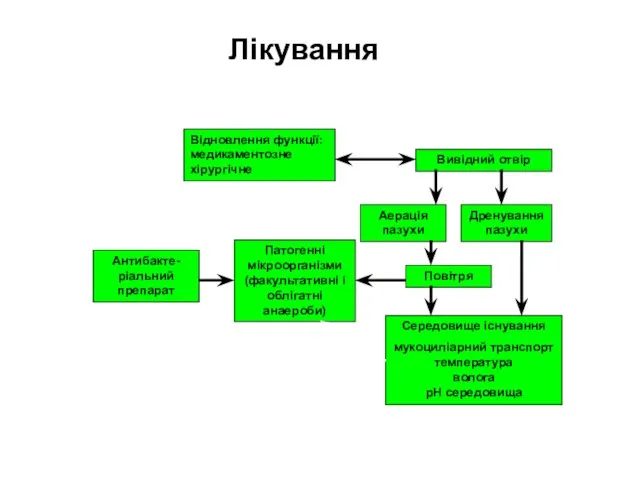 Лікування Відновлення функції: медикаментозне хірургічне Вивідний отвір Антибакте-ріальний препарат Дренування пазухи Повітря