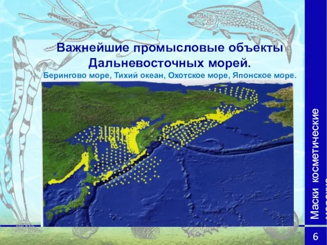 Важнейшие промысловые объекты Дальневосточных морей. Берингово море, Тихий океан, Охотское море, Японское море. Маски косметические морские