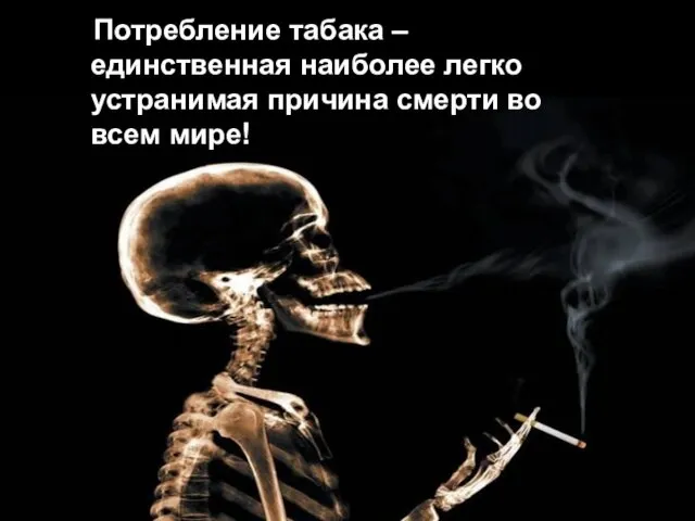Потребление табака – единственная наиболее легко устранимая причина смерти во всем мире!