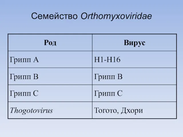 Семейство Orthomyxoviridae