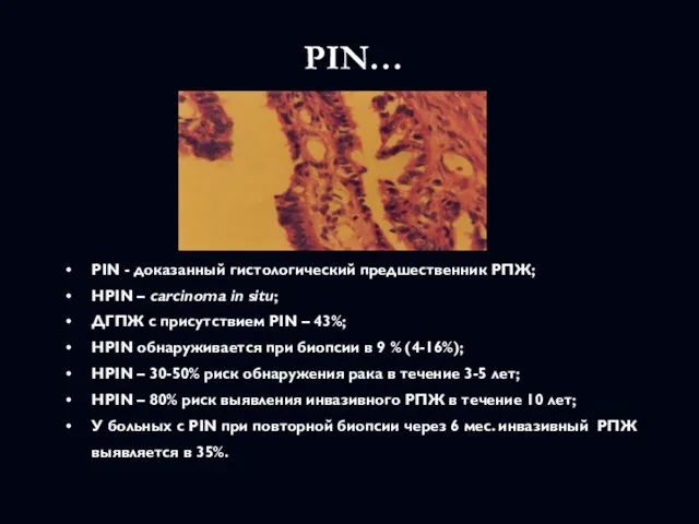 PIN… PIN - доказанный гистологический предшественник РПЖ; HPIN – carcinoma in situ;