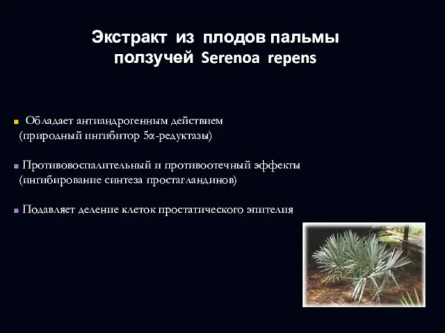 Экстракт из плодов пальмы ползучей Serenoa repens Обладает антиандрогенным действием (природный ингибитор