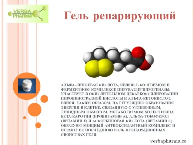 АЛЬФА-ЛИПОЕВАЯ КИСЛОТА, ЯВЛЯЯСЬ КОЭНЗИМОМ В ФЕРМЕНТНОМ КОМПЛЕКСЕ ПИРУВАТДЕГИДРОГЕНАЗЫ, УЧАСТВУЕТ В ОКИСЛИТЕЛЬНОМ ДЕКАРБОКСИЛИРОВАНИИ