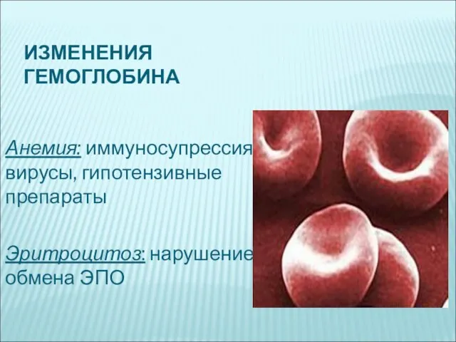 ИЗМЕНЕНИЯ ГЕМОГЛОБИНА Анемия: иммуносупрессия, вирусы, гипотензивные препараты Эритроцитоз: нарушение обмена ЭПО