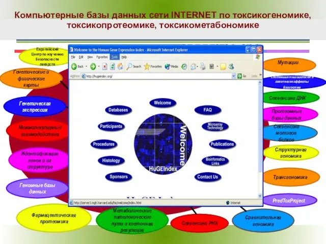 Компьютерные базы данных сети INTERNET по токсикогеномике, токсикопротеомике, токсикометабономике