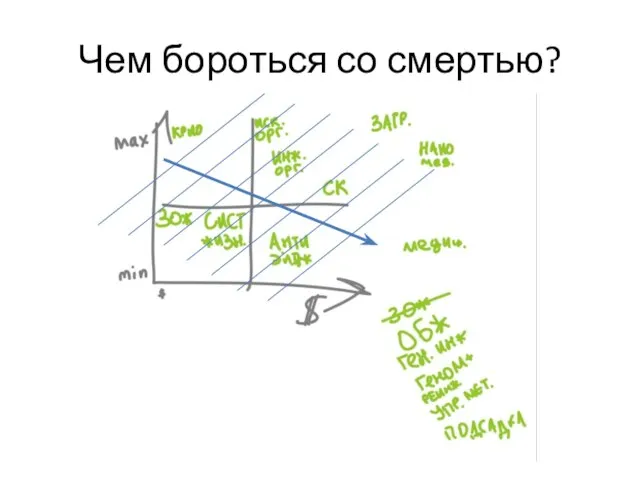 Чем бороться со смертью?