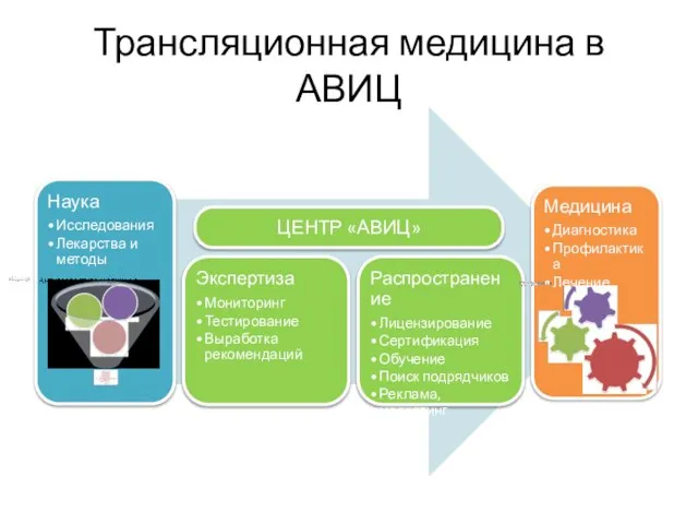 Трансляционная медицина в АВИЦ ЦЕНТР «АВИЦ»