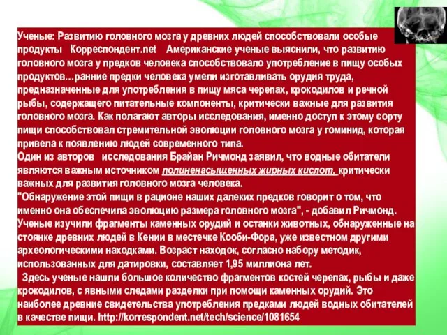 Ученые: Развитию головного мозга у древних людей способствовали особые продукты Корреспондент.net Американские