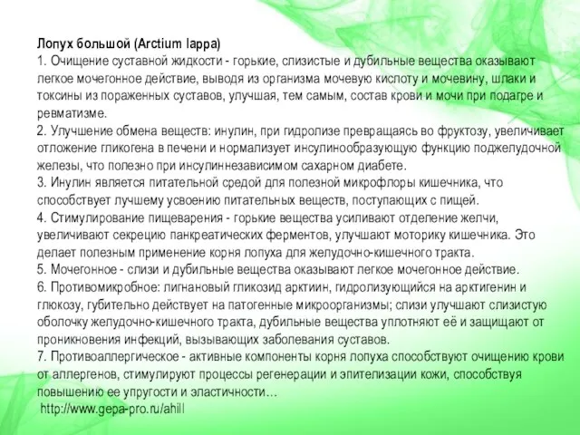 Лопух большой (Arctium lappa) 1. Очищение суставной жидкости - горькие, слизистые и