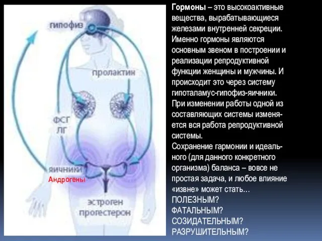 Гормоны – это высокоактивные вещества, вырабатывающиеся железами внутренней секреции. Именно гормоны являются