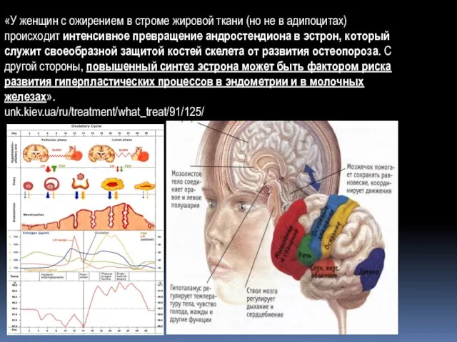 «У женщин с ожирением в строме жировой ткани (но не в адипоцитах)