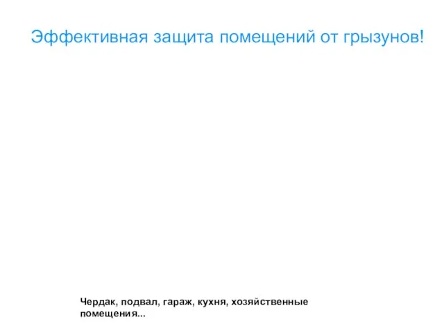 Эффективная защита помещений от грызунов! Чердак, подвал, гараж, кухня, хозяйственные помещения...