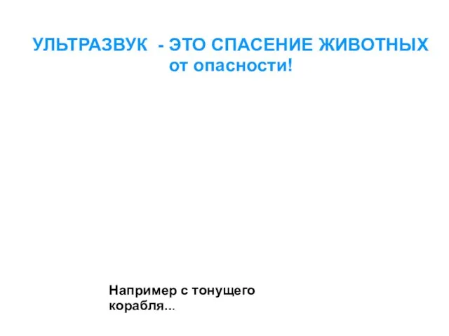 УЛЬТРАЗВУК - ЭТО СПАСЕНИЕ ЖИВОТНЫХ от опасности! Например с тонущего корабля...