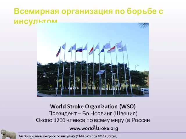 World Stroke Organization (WSO) Президент – Бо Норвинг (Швеция) Около 1200 членов