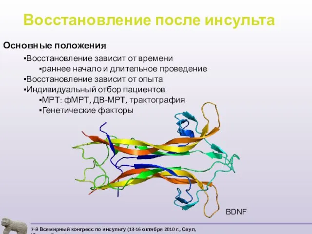 Восстановление после инсульта Основные положения Восстановление зависит от времени раннее начало и