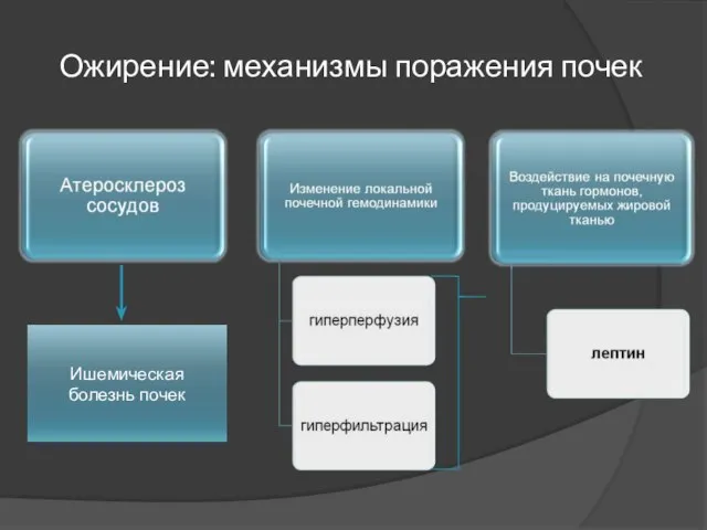 Ожирение: механизмы поражения почек Ишемическая болезнь почек