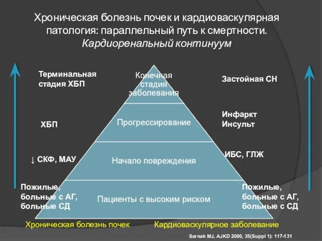 Хроническая болезнь почек и кардиоваскулярная патология: параллельный путь к смертности. Кардиоренальный континуум