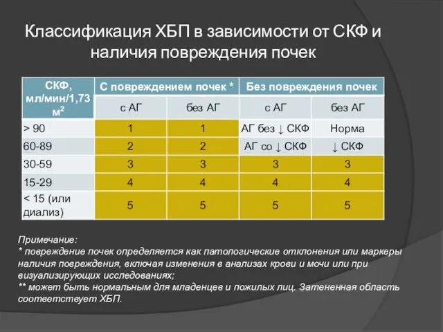 Классификация ХБП в зависимости от СКФ и наличия повреждения почек Примечание: *