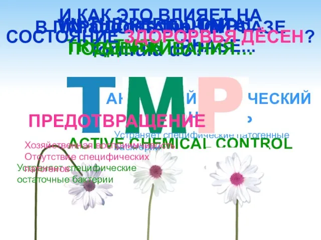 What does the TMP formula do? IN THE PERIODONTAL TREATMENT PHASE... АКТИВНЫЙ