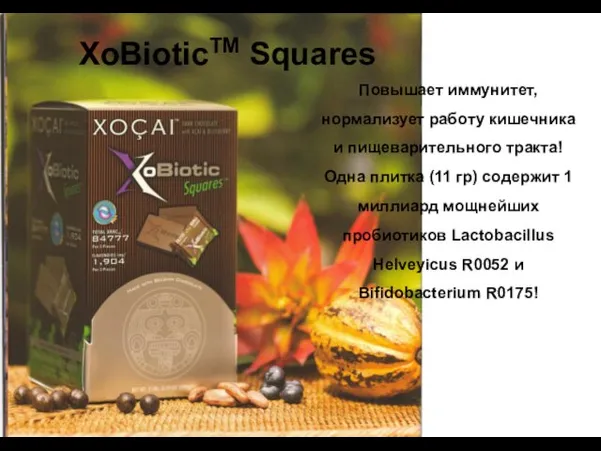 ХоBioticTM Squares Повышает иммунитет, нормализует работу кишечника и пищеварительного тракта! Одна плитка