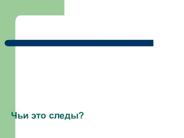 Чьи это следы?