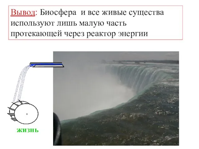 Вывод: Биосфера и все живые существа используют лишь малую часть протекающей через реактор энергии жизнь