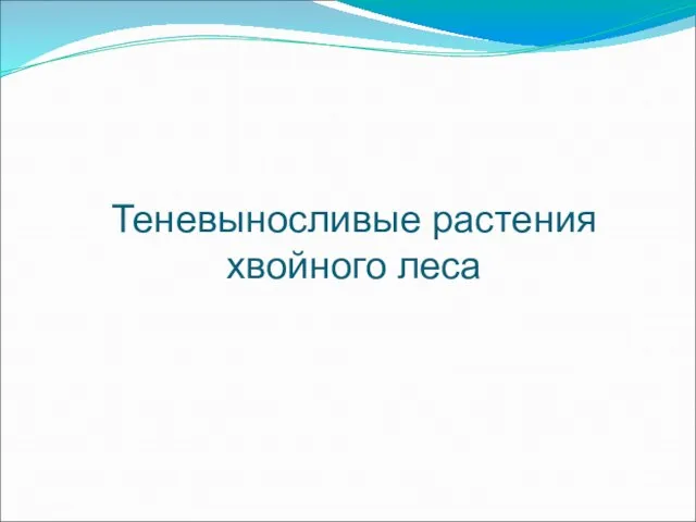 Теневыносливые растения хвойного леса