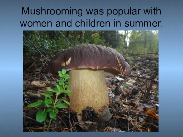 Mushrooming was popular with women and children in summer.