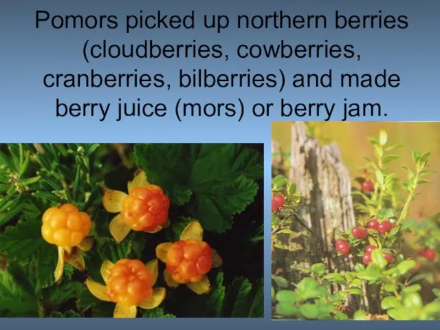 Pomors picked up northern berries (cloudberries, cowberries, cranberries, bilberries) and made berry