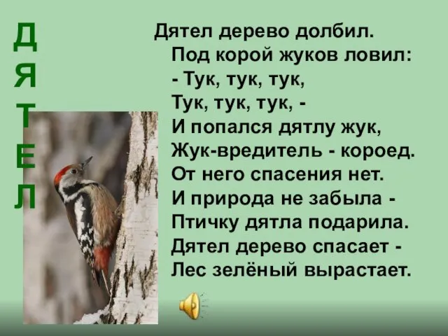 Дятел дерево долбил. Под корой жуков ловил: - Тук, тук, тук, Тук,