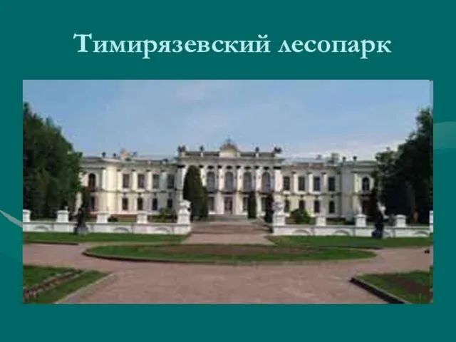 Тимирязевский лесопарк