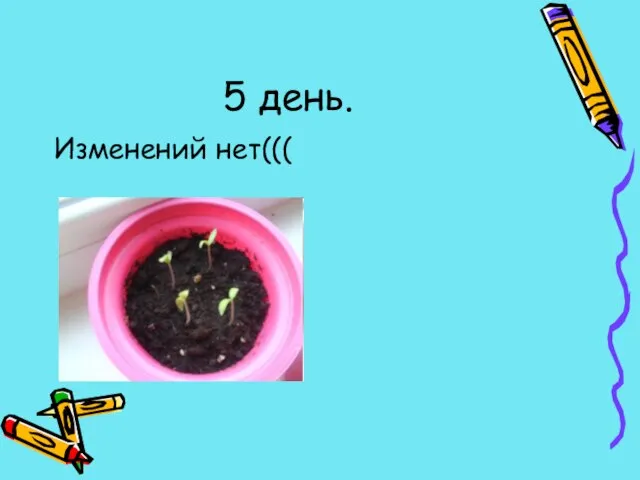 5 день. Изменений нет(((