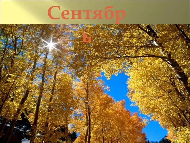 Сентябрь