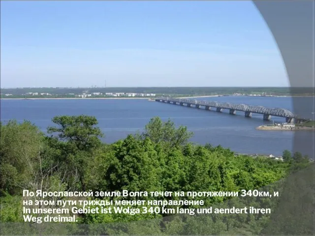 По Ярославской земле Волга течет на протяжении 340км, и на этом пути