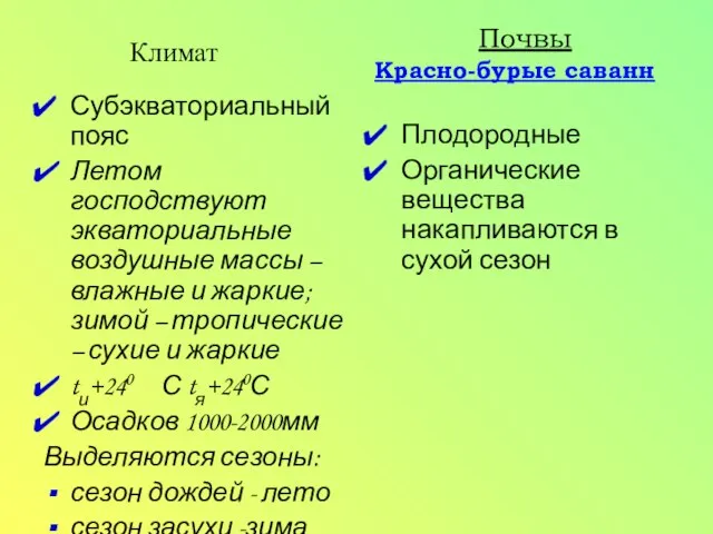 Субэкваториальный пояс Летом господствуют экваториальные воздушные массы – влажные и жаркие; зимой